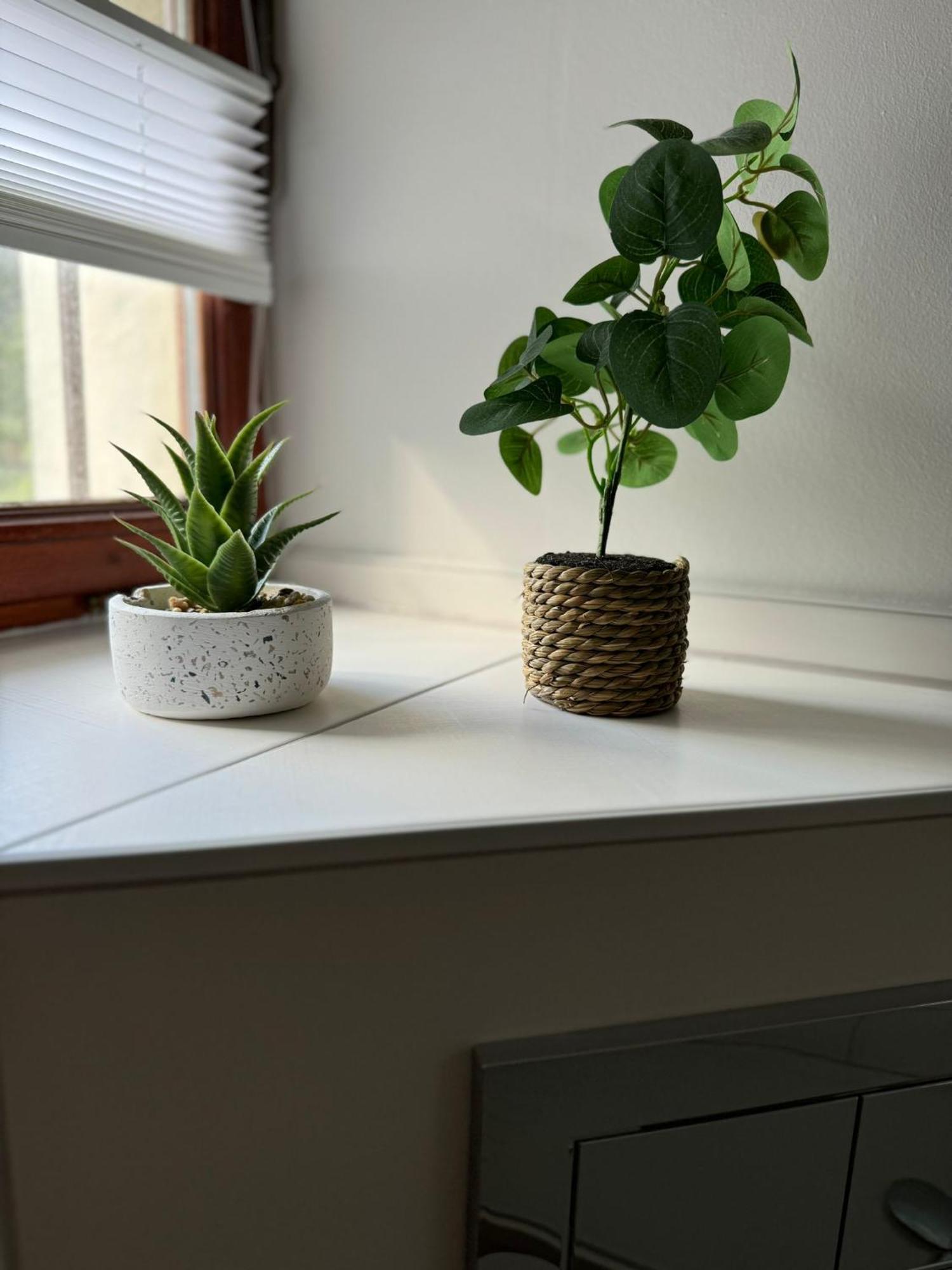 Ferienwohnung Neue Quickbox Thale Dış mekan fotoğraf