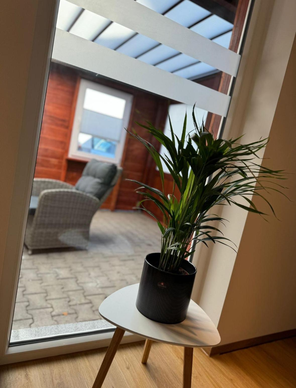 Ferienwohnung Neue Quickbox Thale Dış mekan fotoğraf